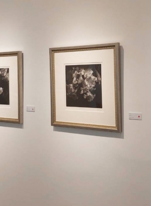 「意象衍繹」雅逸30—國際版畫邀請展PARTⅡ